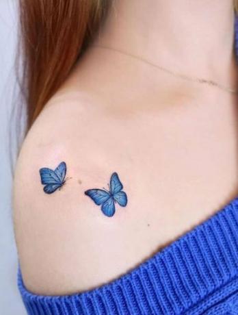 Modri ​​metulj