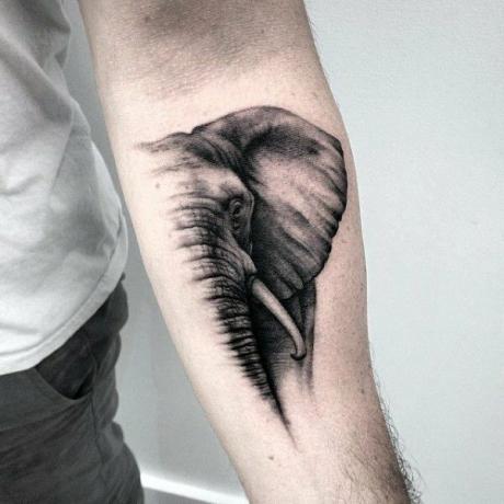 Tatuaż na ramieniu słonia