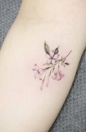 Jasmīna ziedu tetovējums