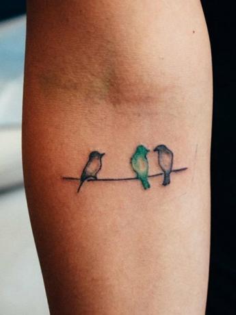 Trys mažų paukščių tatuiruotė