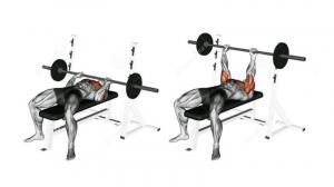 5 najlepszych ćwiczeń na triceps i treningu na budowanie silnych ramion