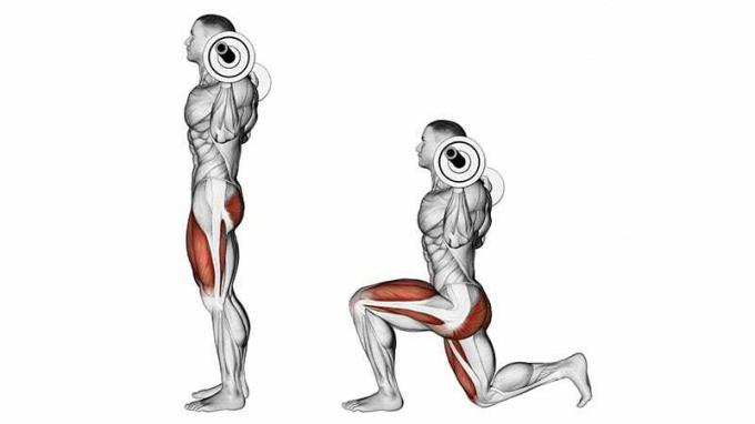 Aké svaly fungujú Výpady