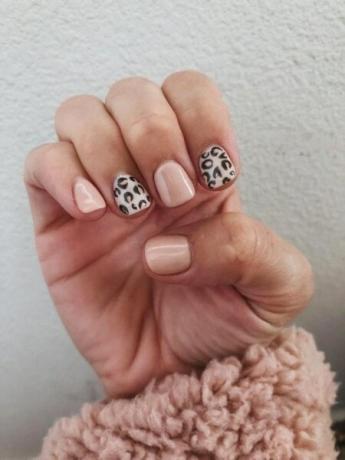 Krátke akrylové nechty s ružovým leopardím vzorom 