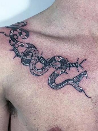 Tetovanie hadej kľúčnej kosti