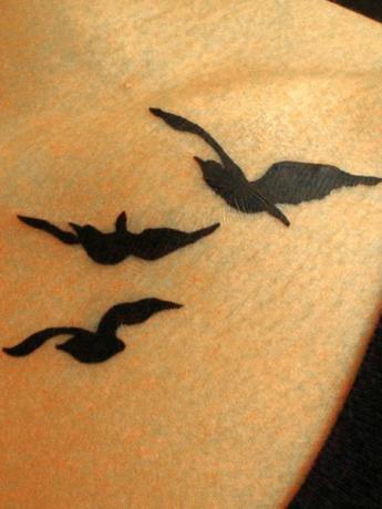 Skirtingos paukščių tatuiruotės