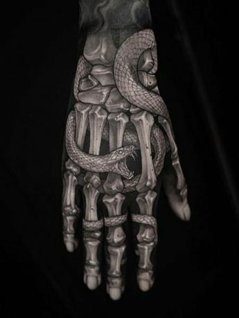 Realistická kostrová ruka s tetovaním hada