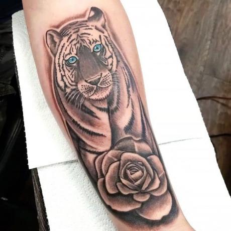 Tetovanie tigrej ruže