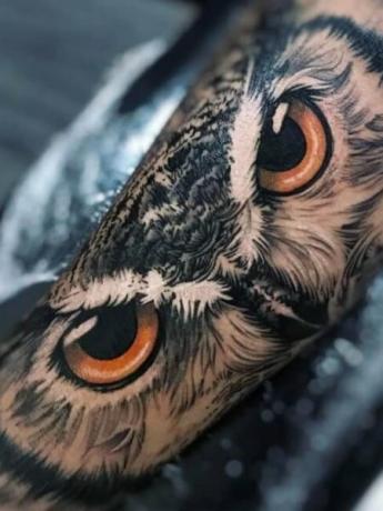 Tetovanie sova