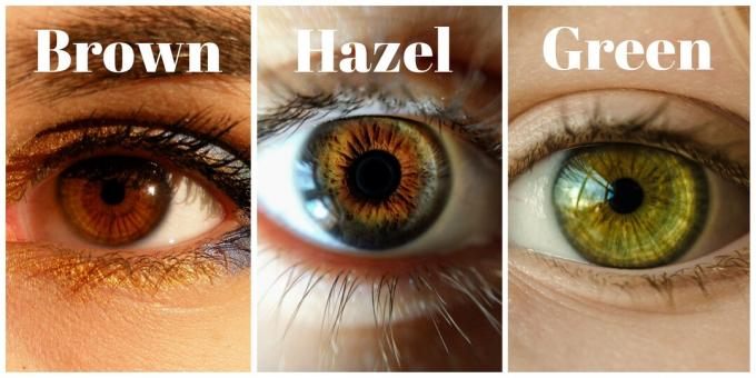 разница между зелеными, карими и карими глазами
