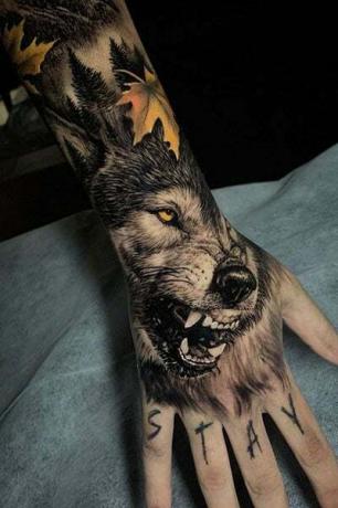 Tetovanie na ruku vlka
