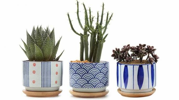 Vasi per fioriere succulente in ceramica con set di vassoi in bambù