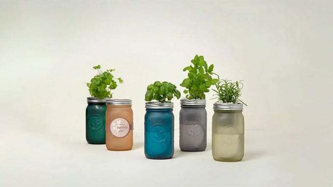 Mason Jar innendørs urtehage