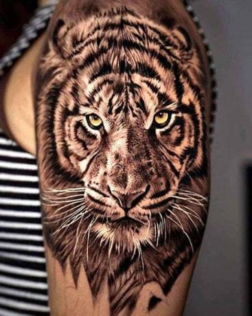 Tetovanie na rameno tigra