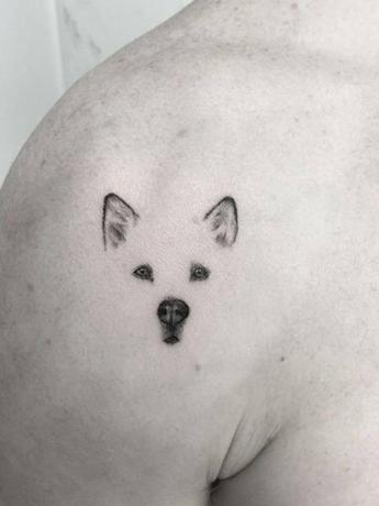 Tetovanie pre malé zvieratá