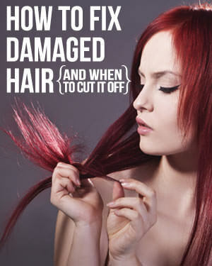 Посібник із пошкодженого волосся: Посібник із відновлення пошкодженого волосся своїми руками