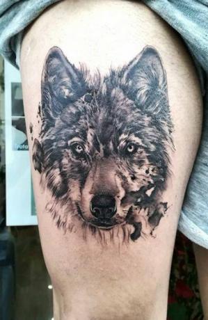 Farkas comb tetoválás