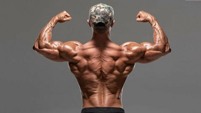 Pohled zezadu na svalnatého muže ukazujícího zadní svaly a bicepsy, izolované