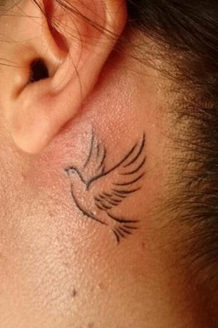 Tetovaža golubice