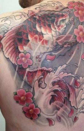 tatuaje de pez koi y flor de cerezo1