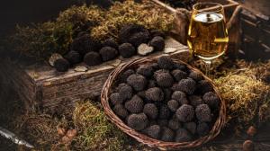 The Ultimate Guide to Truffles