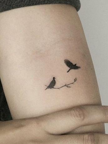 Paprasta paukščio tatuiruotė