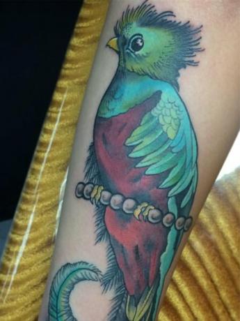 Quetzal fågeltatuering