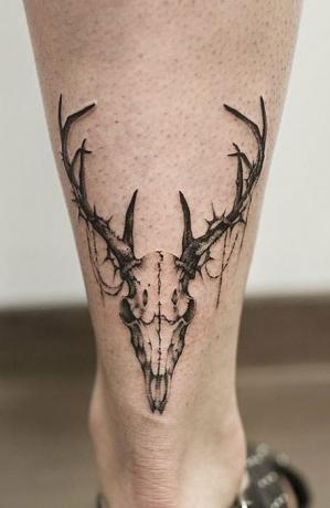 Tatuaje De Cráneo De Ciervo