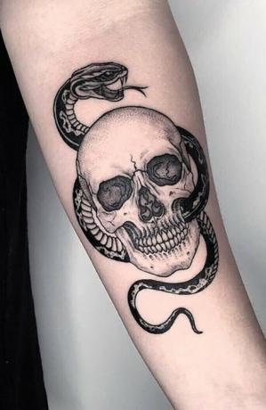 Kranium og slange tatovering