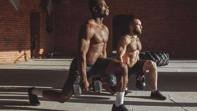 Doi bărbați sportivi multiraciali care fac lungimi cu greutate în antrenament interior