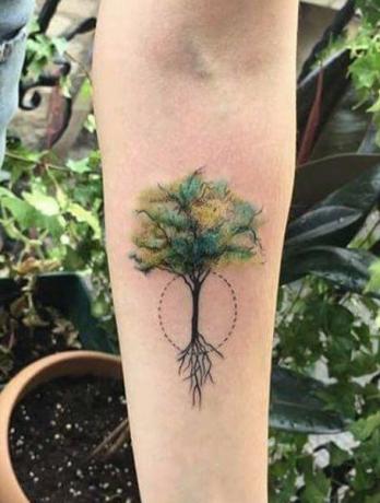 Tattoo na drevesu