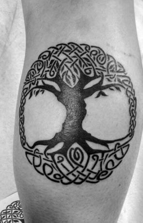 Ír életfa tetoválás