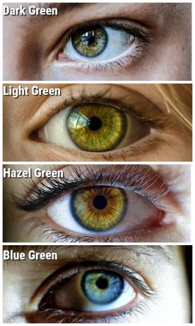 Visos įmanomos žalių akių spalvos ir geriausi plaukų atspalviai joms