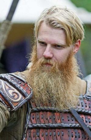 Viking Vousy S Knírem