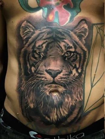 Tetovanie tigra na žalúdku1