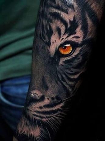 3d tetovanie tigra 