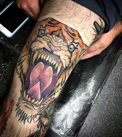 Tetovanie tigrieho kolena 2