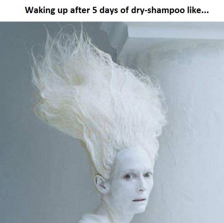 priveľa suchého šampónu meme Tilda Swinton