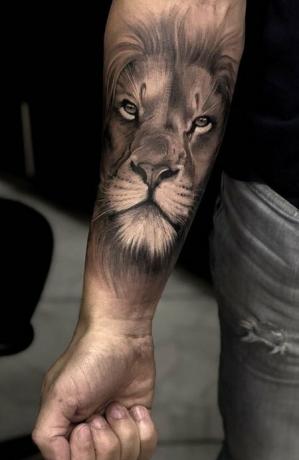 Lví tetování