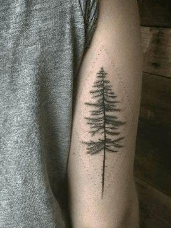 Pušies medžio tatuiruotė