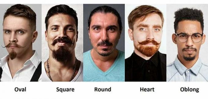 Ce formă a feței are o barbă Van Dyke?
