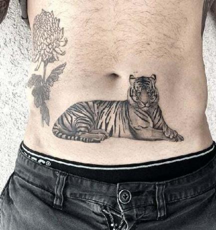 Tetovanie žalúdka tigra 2