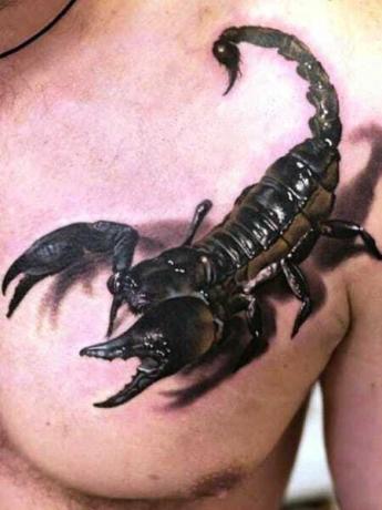 3D tetovanie Scorpion