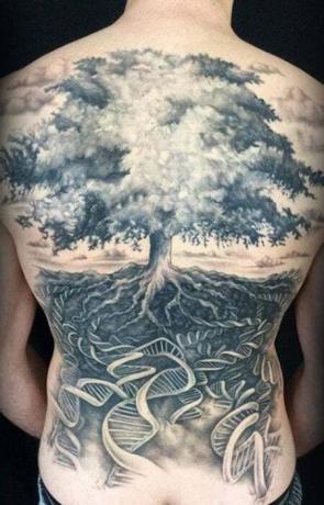 Levensboom tatoeage op de rug