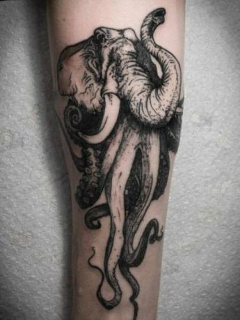 Elefant Oktopus 