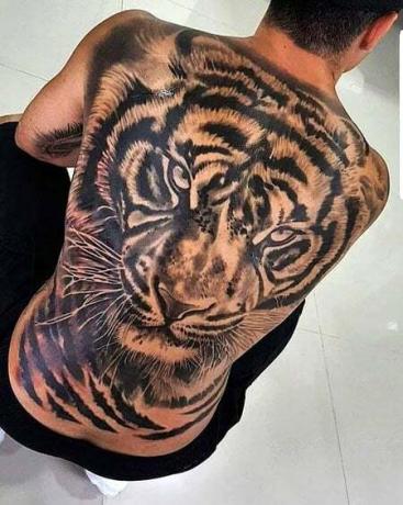 Tetovanie tigrieho chrbta 2
