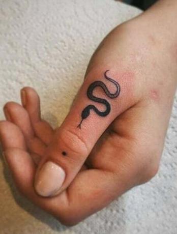 Tatuagem de cobra fofa (3)
