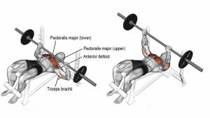The Ultimate Chest Workout for Building Mass