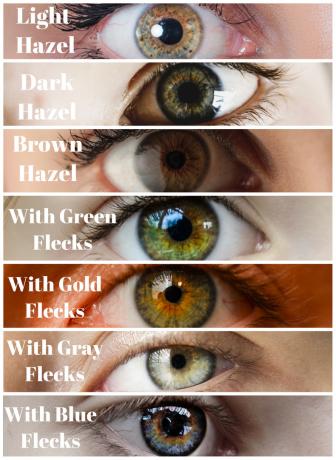 різні кольори орехових очей