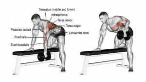 Los 5 mejores ejercicios de trampa para aumentar el grosor de la espalda