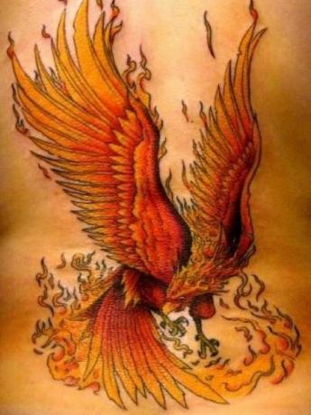 Tűz Phoenix tetoválás